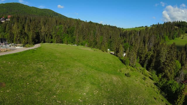 Верхня лука та узлісся
